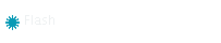 Flash